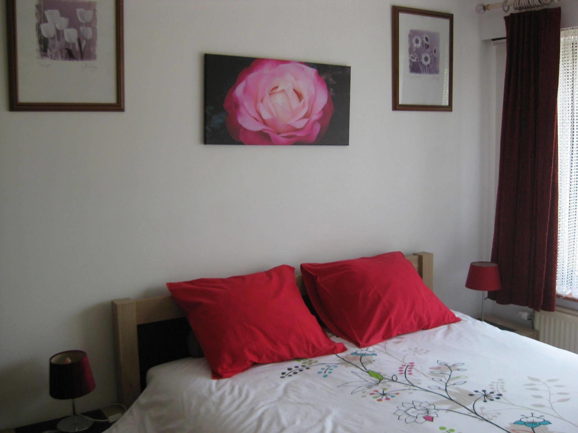 Ferienwohnung Logies Lily Oudenburg Exterior foto